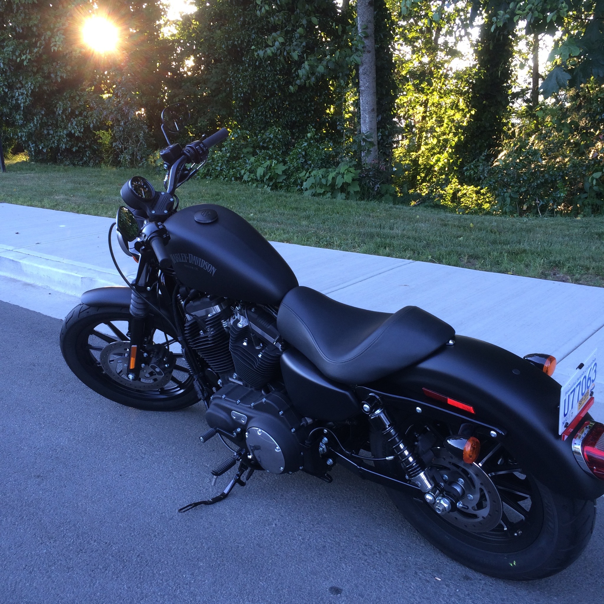 Harley-Davidson Iron 883 — Left-side view