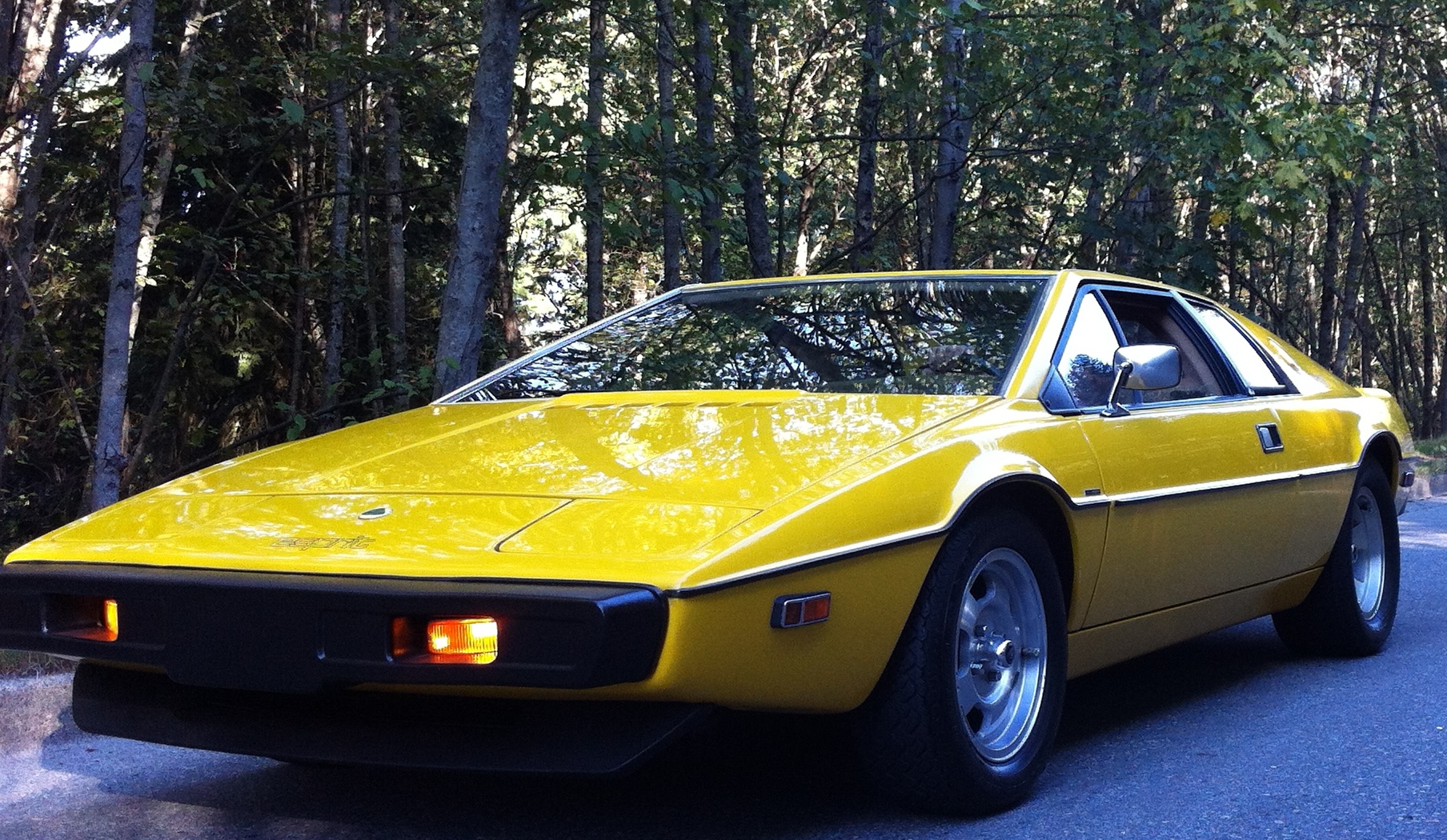 1978 Lotus Esprit — Front three-quarter view beside the woods