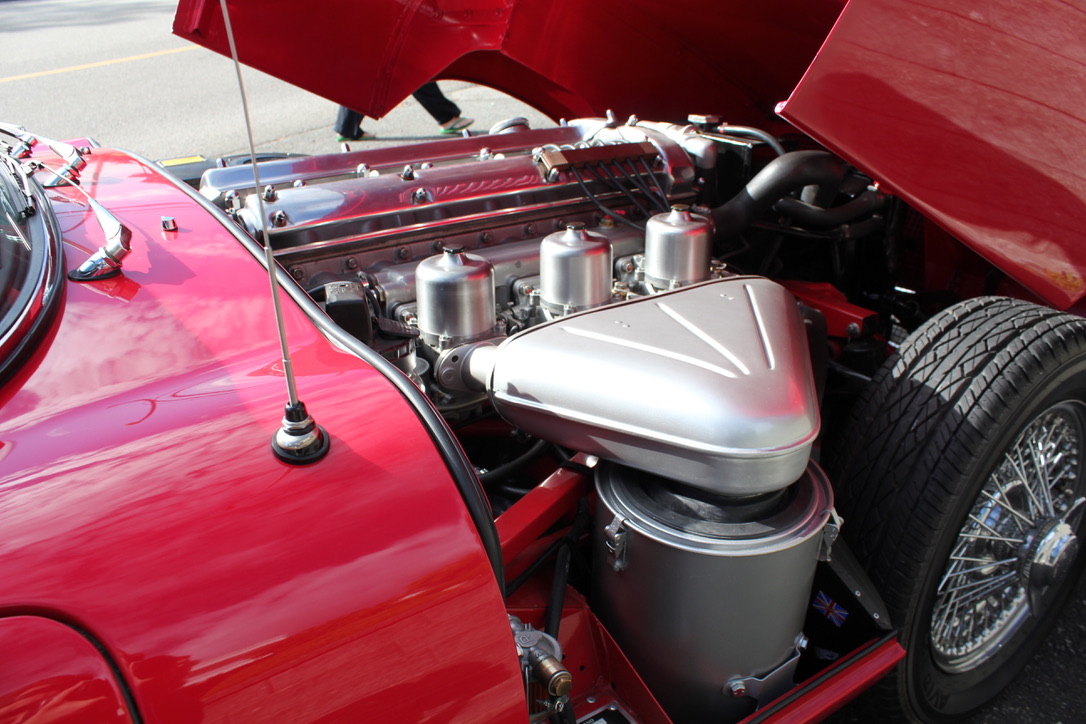 Engine bay detail